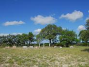 Gotcher Cemetery 11