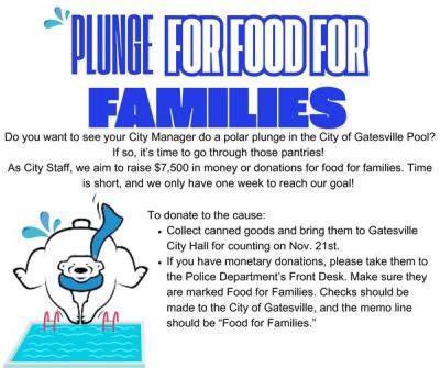 Plunge for Food 