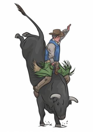 Bull rider 